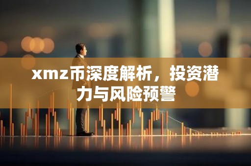 xmz币深度解析，投资潜力与风险预警