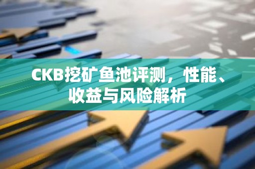 CKB挖矿鱼池评测，性能、收益与风险解析