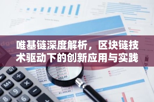 唯基链深度解析，区块链技术驱动下的创新应用与实践