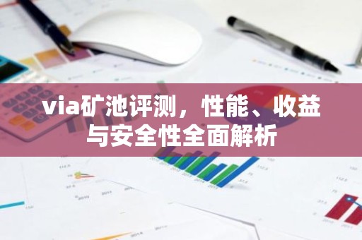 via矿池评测，性能、收益与安全性全面解析