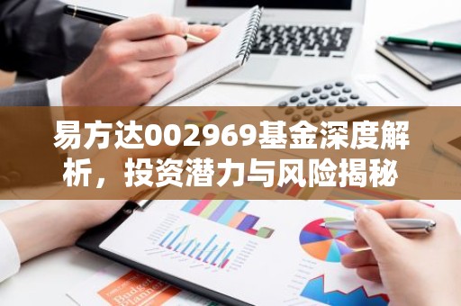 易方达002969基金深度解析，投资潜力与风险揭秘