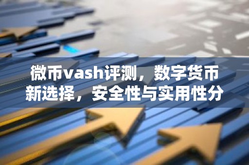 微币vash评测，数字货币新选择，安全性与实用性分析