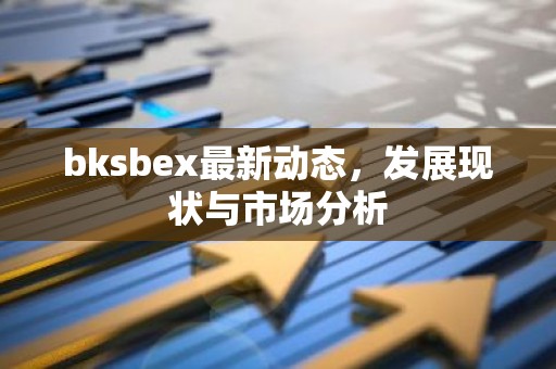 bksbex最新动态，发展现状与市场分析