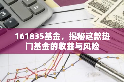 161835基金，揭秘这款热门基金的收益与风险