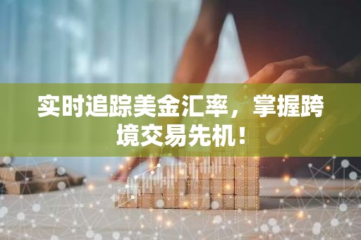实时追踪美金汇率，掌握跨境交易先机！