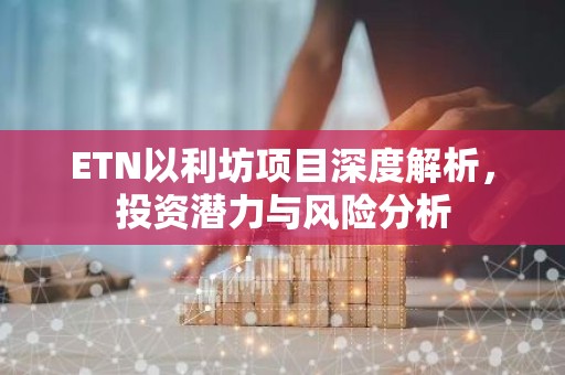 ETN以利坊项目深度解析，投资潜力与风险分析