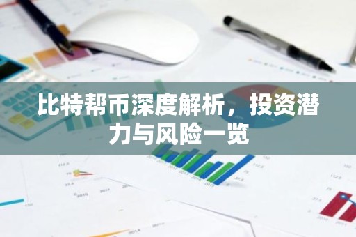 比特帮币深度解析，投资潜力与风险一览