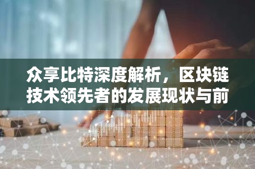 众享比特深度解析，区块链技术领先者的发展现状与前景