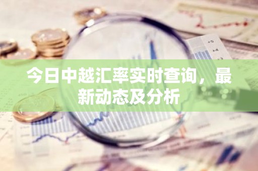 今日中越汇率实时查询，最新动态及分析