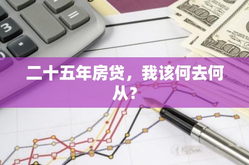 二十五年房贷，我该何去何从？