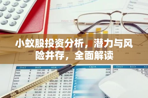 小蚁股投资分析，潜力与风险并存，全面解读