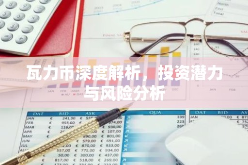 瓦力币深度解析，投资潜力与风险分析