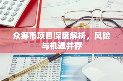众筹币项目深度解析，风险与机遇并存