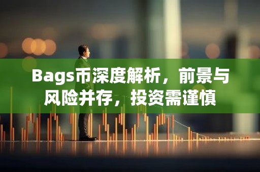 Bags币深度解析，前景与风险并存，投资需谨慎