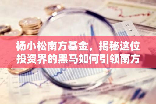 杨小松南方基金，揭秘这位投资界的黑马如何引领南方基金崛起