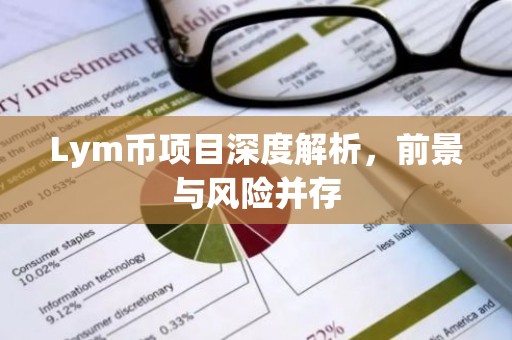 Lym币项目深度解析，前景与风险并存