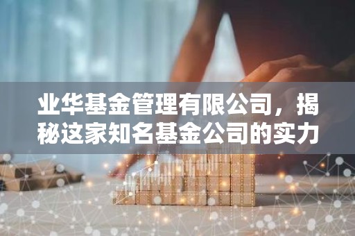 业华基金管理有限公司，揭秘这家知名基金公司的实力与投资策略