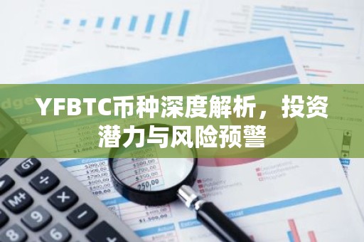 YFBTC币种深度解析，投资潜力与风险预警