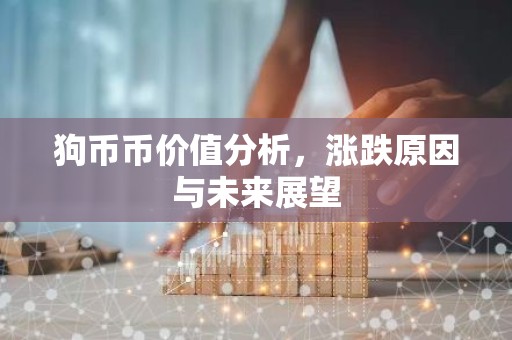 狗币币价值分析，涨跌原因与未来展望
