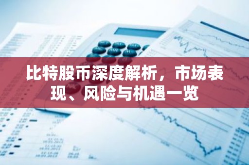 比特股币深度解析，市场表现、风险与机遇一览