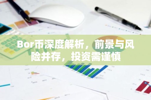 Bor币深度解析，前景与风险并存，投资需谨慎