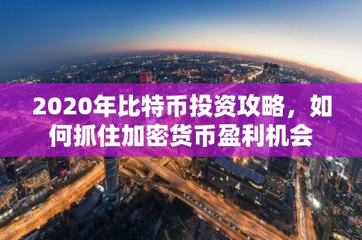 2020年比特币投资攻略，如何抓住加密货币盈利机会