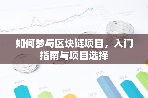 如何参与区块链项目，入门指南与项目选择
