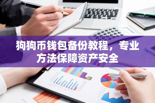 狗狗币钱包备份教程，专业方法保障资产安全