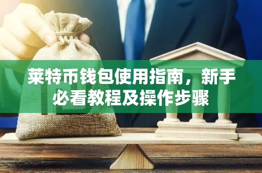 莱特币钱包使用指南，新手必看教程及操作步骤
