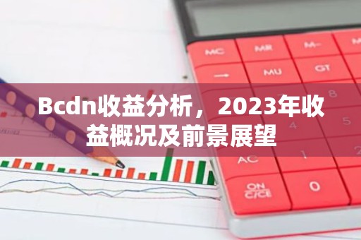 Bcdn收益分析，2023年收益概况及前景展望