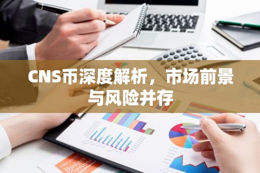 CNS币深度解析，市场前景与风险并存