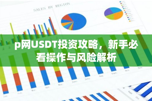 p网USDT投资攻略，新手必看操作与风险解析
