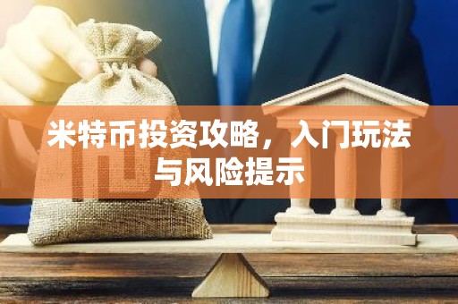 米特币投资攻略，入门玩法与风险提示