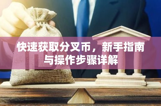 快速获取分叉币，新手指南与操作步骤详解