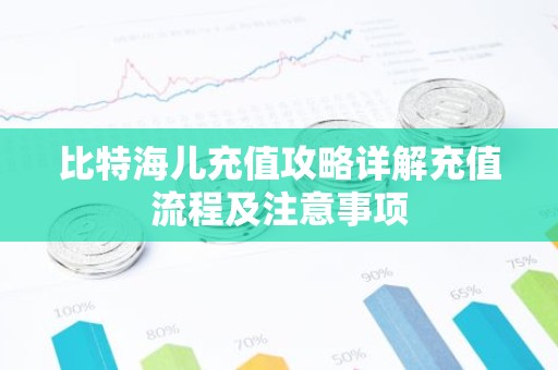 比特海儿充值攻略详解充值流程及注意事项