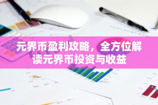 元界币盈利攻略，全方位解读元界币投资与收益
