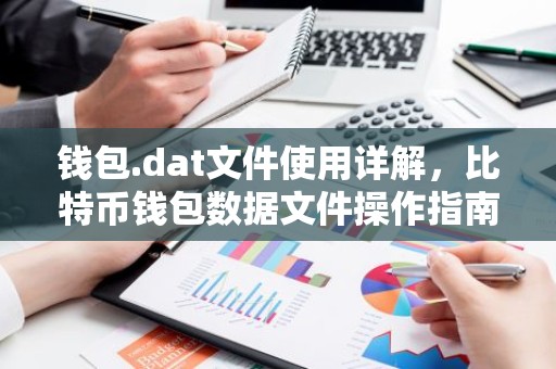 钱包.dat文件使用详解，比特币钱包数据文件操作指南