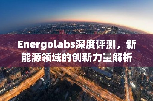 Energolabs深度评测，新能源领域的创新力量解析