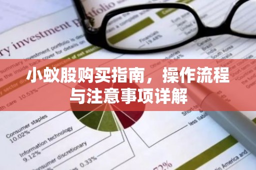 小蚁股购买指南，操作流程与注意事项详解