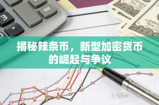 揭秘辣条币，新型加密货币的崛起与争议