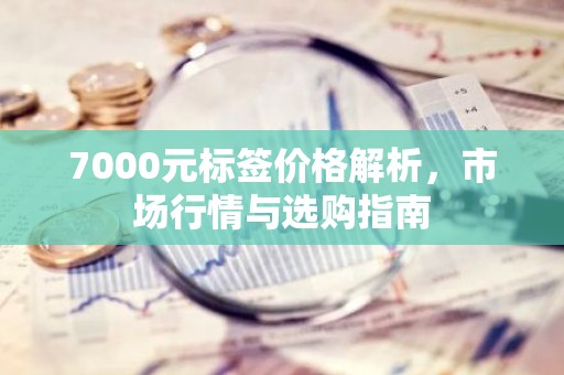 7000元标签价格解析，市场行情与选购指南