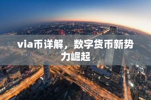 via币详解，数字货币新势力崛起