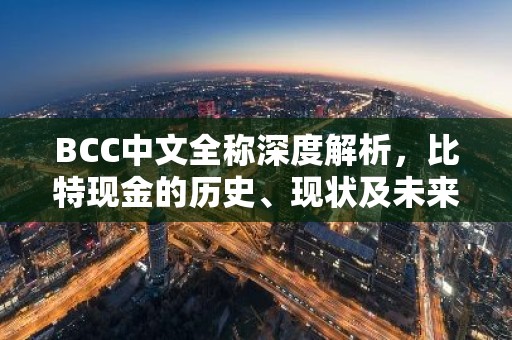 BCC中文全称深度解析，比特现金的历史、现状及未来展望
