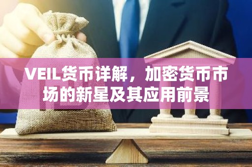 VEIL货币详解，加密货币市场的新星及其应用前景
