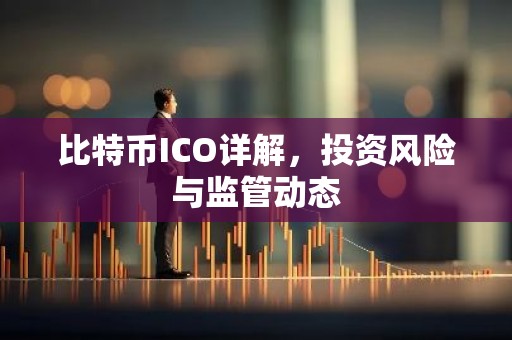 比特币ICO详解，投资风险与监管动态
