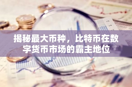 揭秘最大币种，比特币在数字货币市场的霸主地位