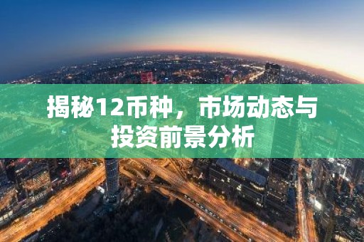 揭秘12币种，市场动态与投资前景分析