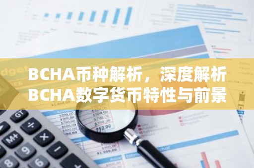 BCHA币种解析，深度解析BCHA数字货币特性与前景