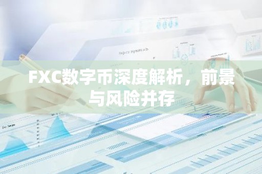 FXC数字币深度解析，前景与风险并存