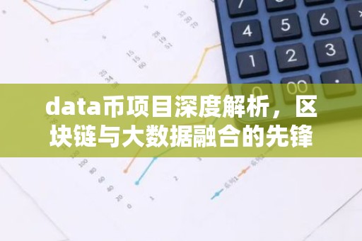data币项目深度解析，区块链与大数据融合的先锋
